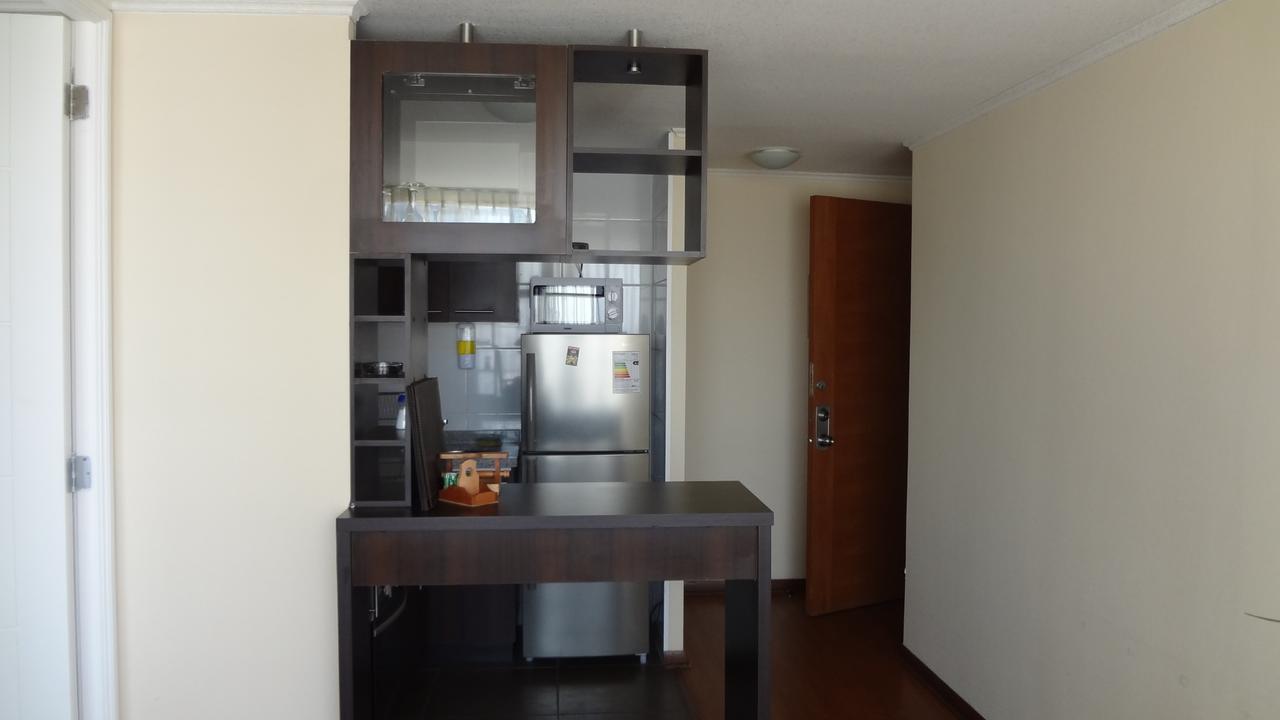 Apartments Bellas Artes Santiago du Chili Extérieur photo